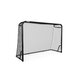 BERG SportsGoal M