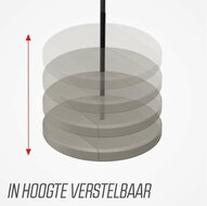 BERG-PlayBase-schotelschommel