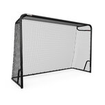  BERG SportsGoal L